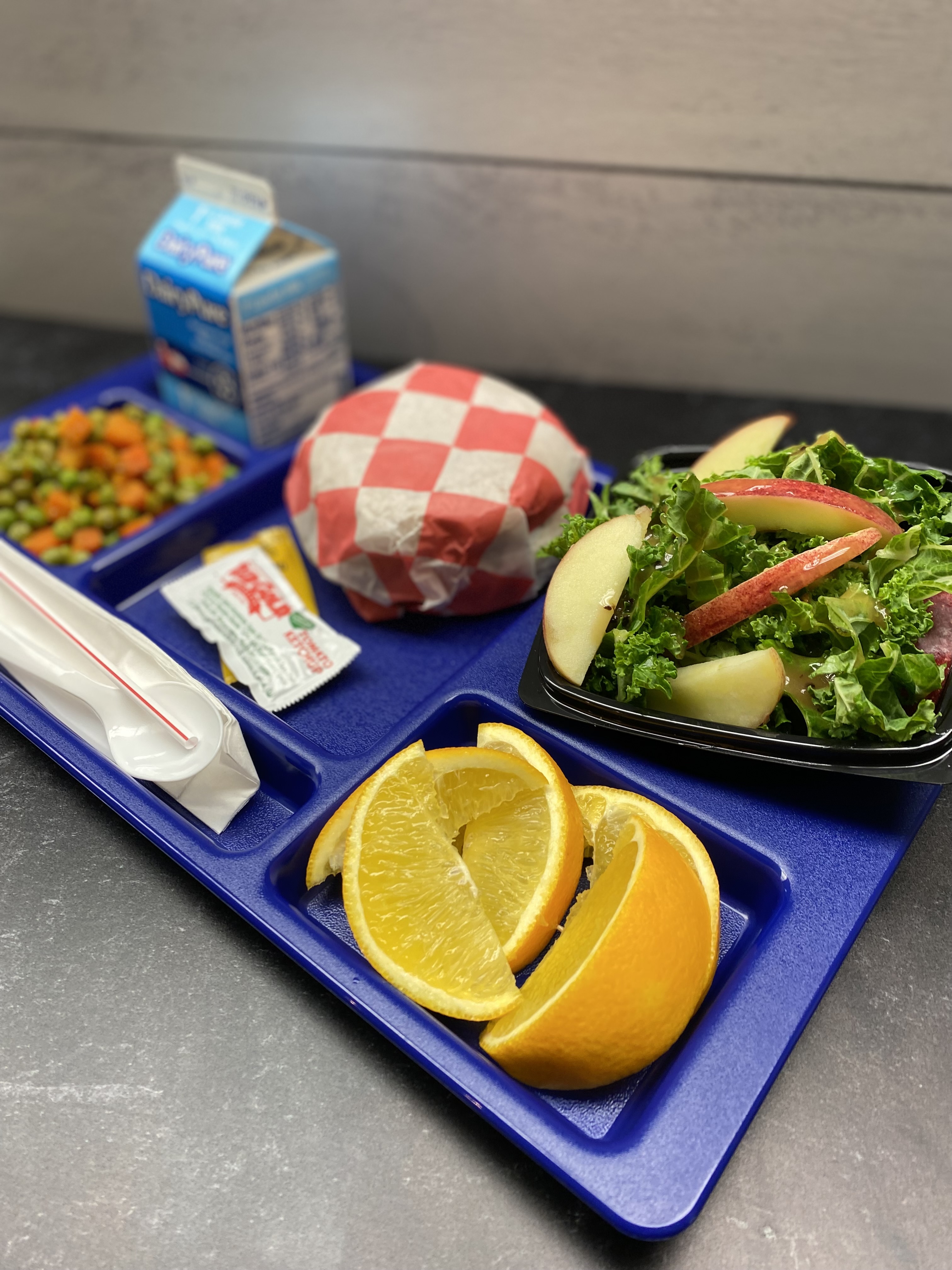 Fulton County School Nutrition Nutritious and Delicious